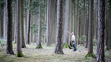 bulthaup Mitarbeiter Paintmeier im Wald beim Inspizieren der Bäume