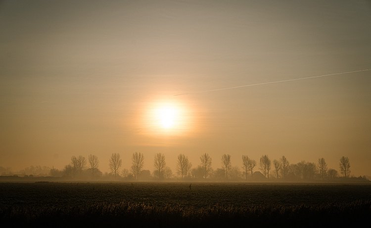 We hebben enkele bulthaup-verdelers en hun medewerkers samengebracht op een afgelegen locatie om te praten over hun gedeelde passie.